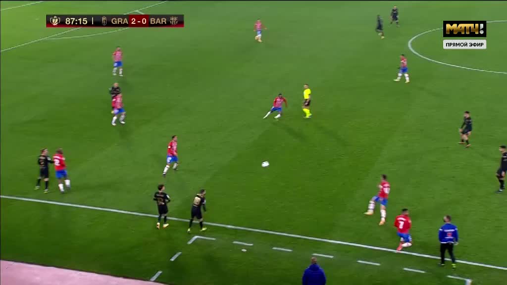 掘金主教练：篮球对约基奇而言是一门手艺，你必须拥有其他兴趣